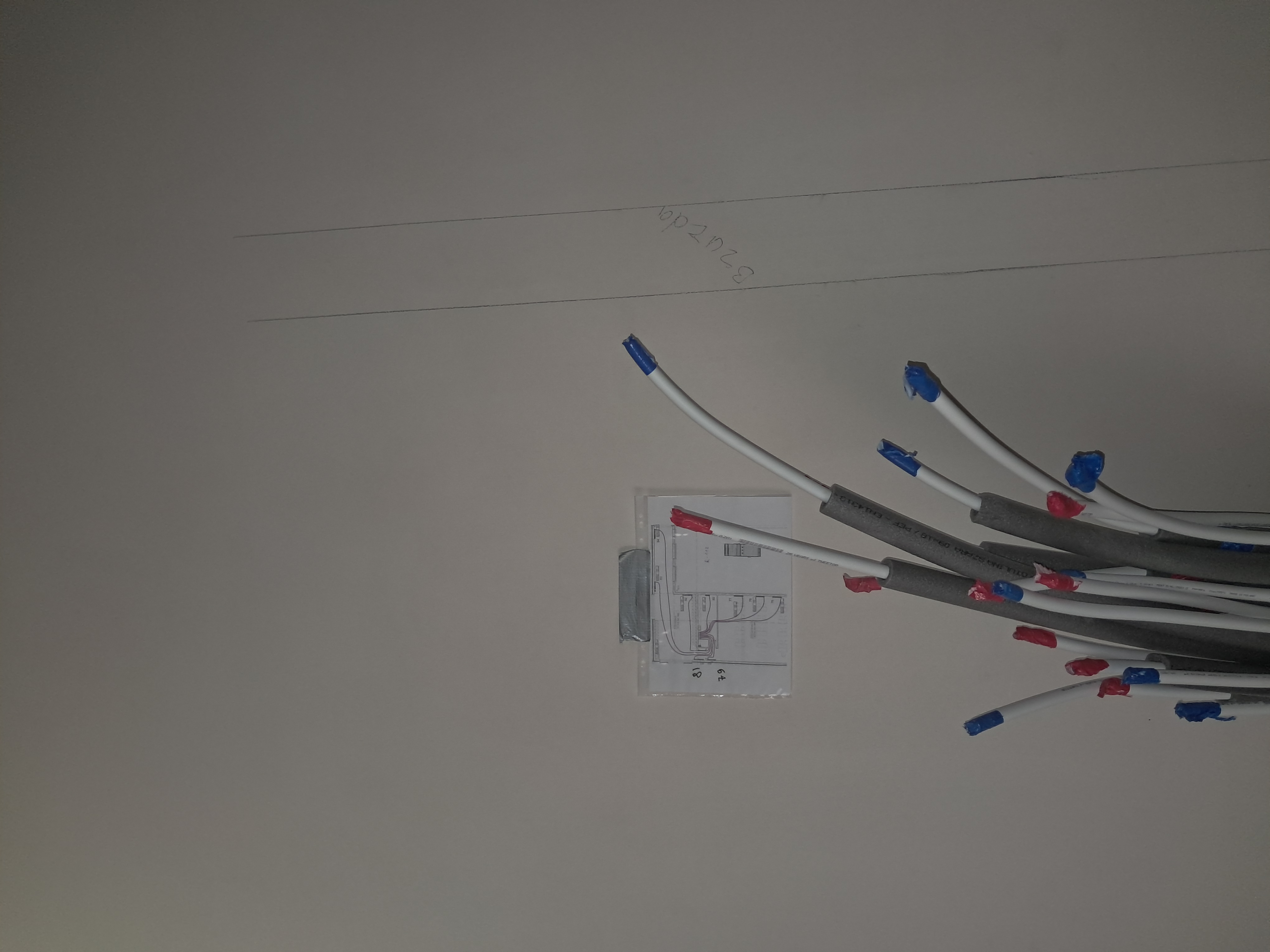 20260731_101331.jpg